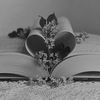 ﮼ثناء ﮼