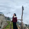 taphoanhacop