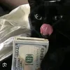 pdfcashflow