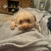 smiley_kiely_matthews