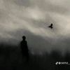 le.vi___