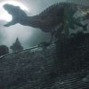 crawlerzilla