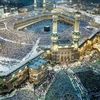 mahmoudhajory49gma