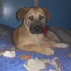 waltermansilla87