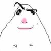 doge_the_creator123
