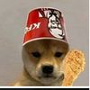 giggle.shidder