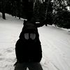 nicolas.wzl