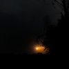 _985dark