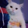 hoda.hady2