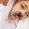 iduar.smc