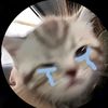 gaunaucute33