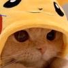 someone123900