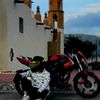 alex_tm_z