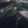 shark_lover_r