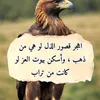 ahmed.ali45421