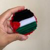 dianaamir19_