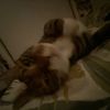beth_2939