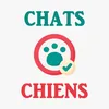 chatschiens.com