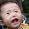 hanpham682