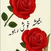 shabeerahmed3405