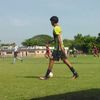 lowis800