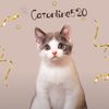 Catonline