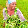 kadia.niangaly