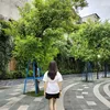 yeu_nguoi_ho_trann