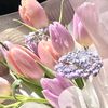 salwa_maniez