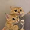 MOCHA & MOCHI