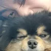 jaewon17