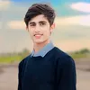 asei1.0
