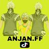 anjan.ff1