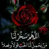 zaraaahmad878