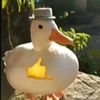 erick_videos_random123
