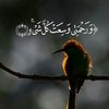 user5033051597480