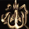 user_134579
