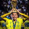 ronaldoc880446103339