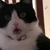 rengoky_kedjiro00