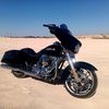 wildwill_007