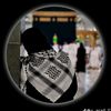 sinbon02