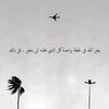 moh.med2346