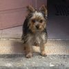 murkie0612