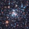 shootingstar3535