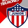 wilsondjmm
