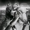22paulo_x7