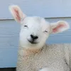 berthramers