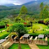 fxsdjj_liem