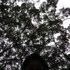 ihdns_