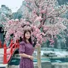 dinhthanh956